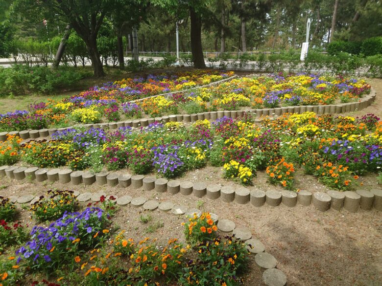 氷見市海浜植物園 シーサイドパークのふれあい園の花壇