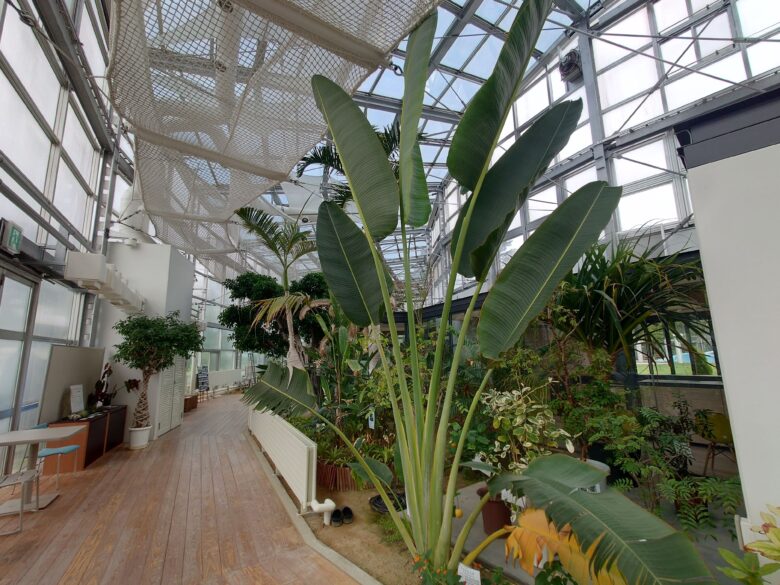 氷見市海浜植物園 シーサイドパークの温室