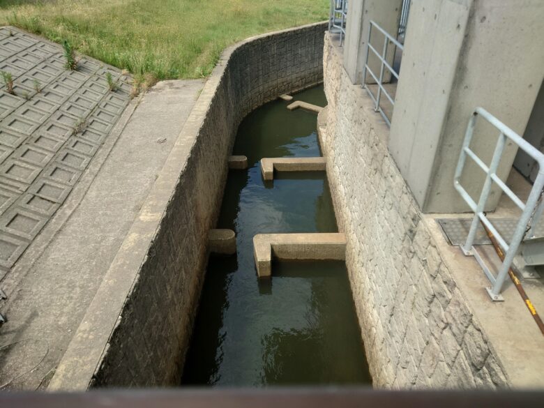 羽咋川潮止水門の魚道とおもわれるところ