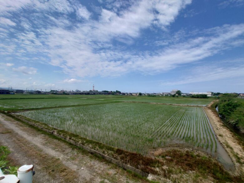 羽咋川潮止水門のそばの田んぼ