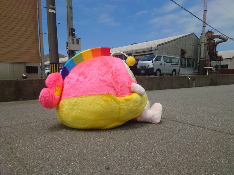 工房シティイベントの通行止め区間でボードに座ってみたプク丸ちゃん