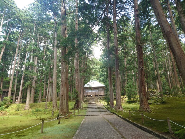 平泉寺白山神社の拝殿の参道