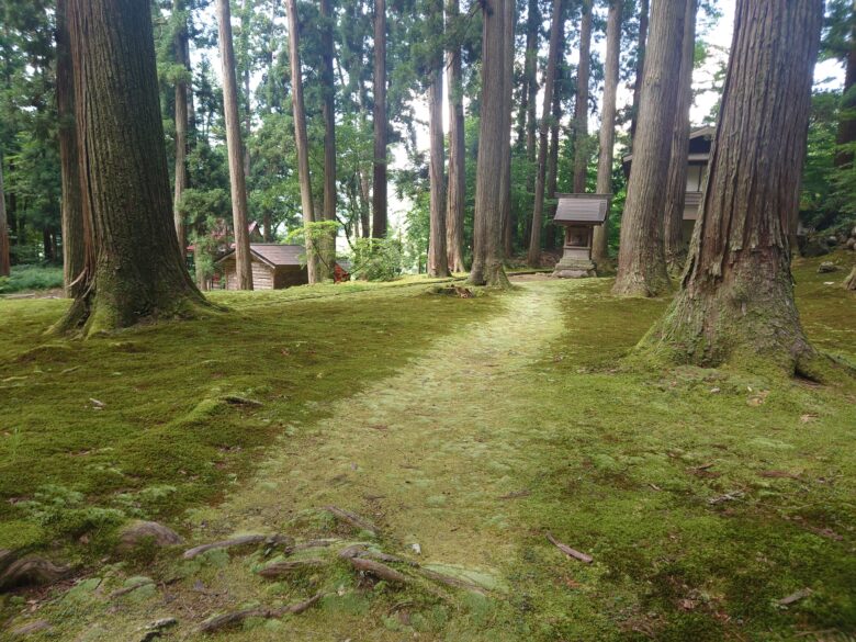 平泉寺白山神社の苔