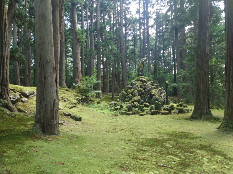 平泉寺白山神社の苔
