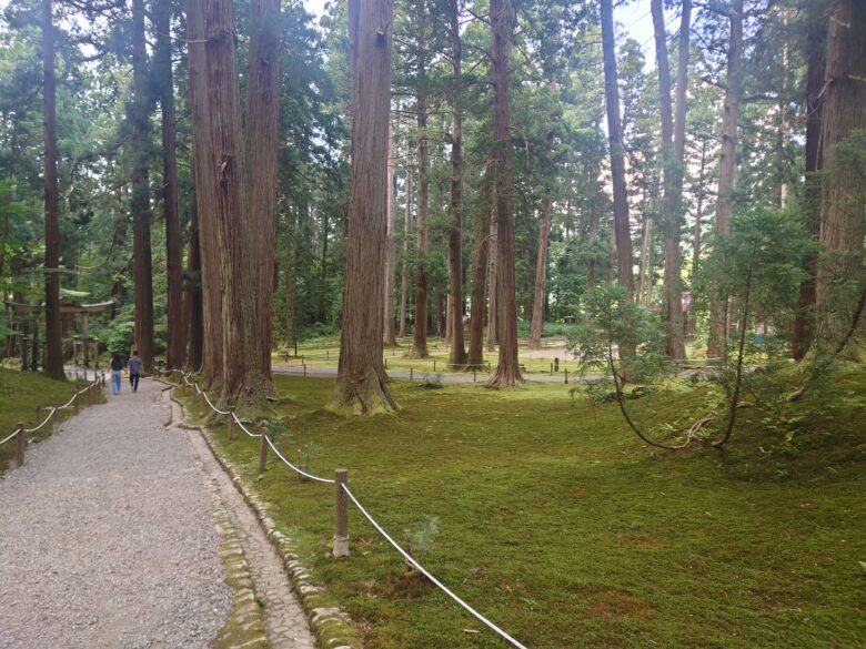平泉寺白山神社の散歩道