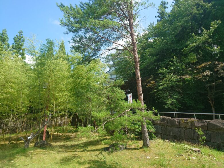 勝山城博物館の駐車場から勝山城博物館をみたところ