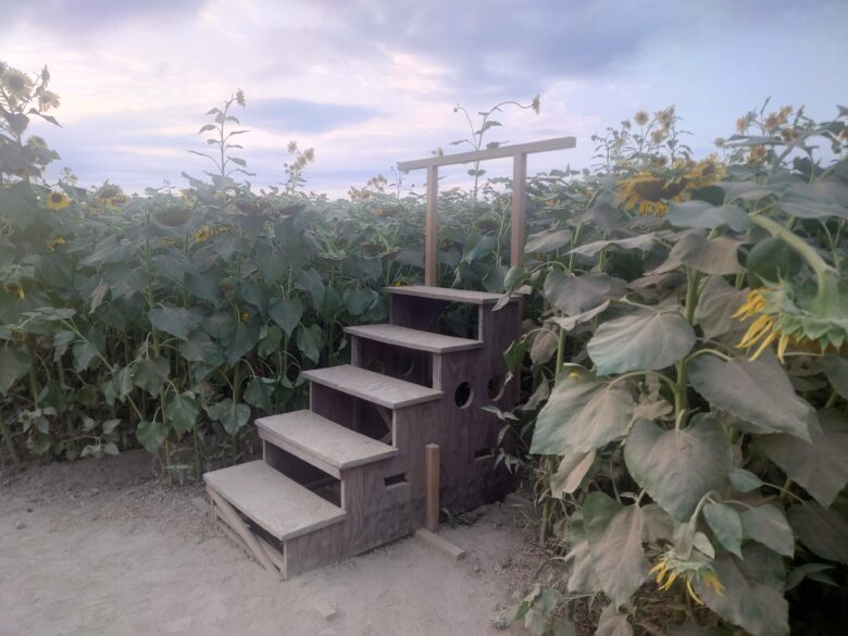 ひまわり村の小さな展望台