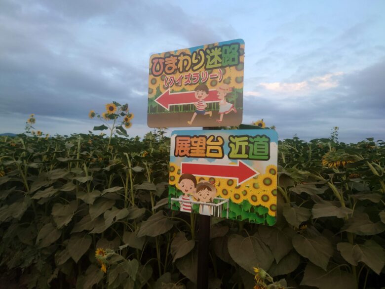 ひまわり村のひまわり迷路（クイズラリー）と展望台近見の案内板