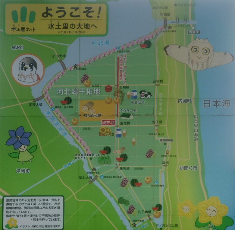ひまわり村の水土里の大地の案内図