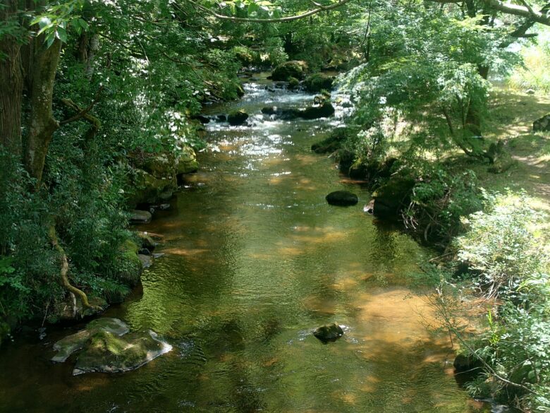 寄り道パーキング荒俣峡の近くの保名橋から撮影した風景