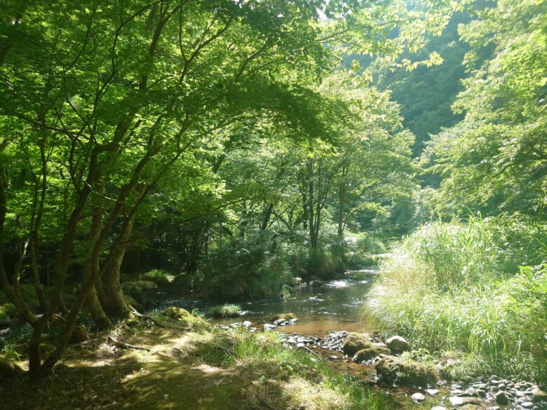 寄り道パーキング荒俣峡の近くの保名橋の下のエリア