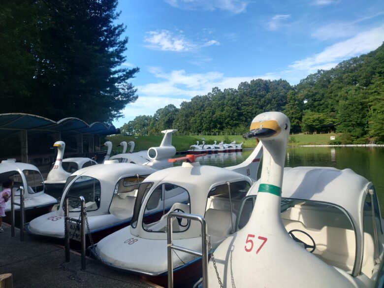 辰口丘陵公園ボート乗り場のボート各種