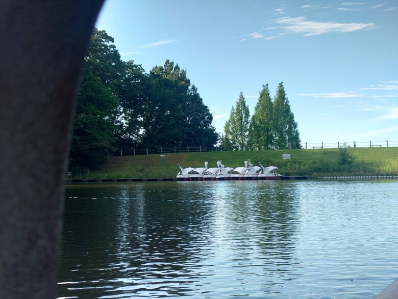辰口丘陵公園ボート乗り場の池の風景