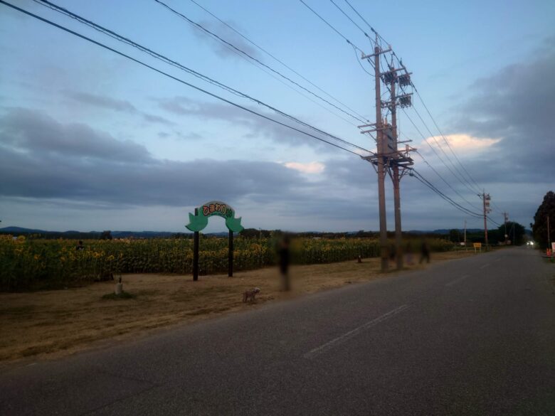 ひまわり村と道路