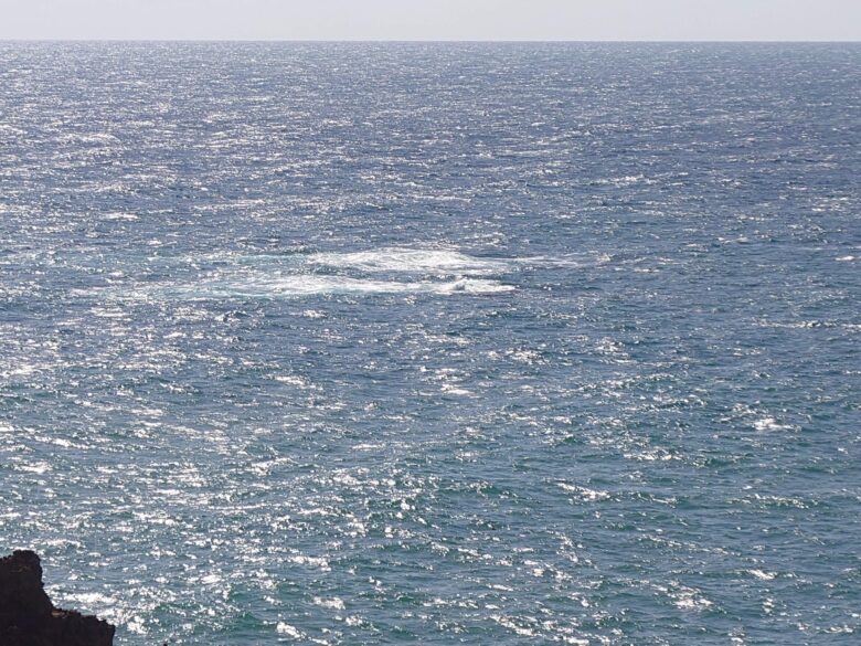 義経の舟隠しスポットから見える海の気になるスポット