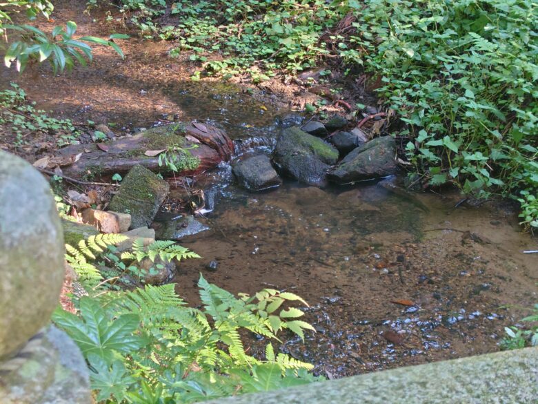 気多大社の菅原神社のそばの小川