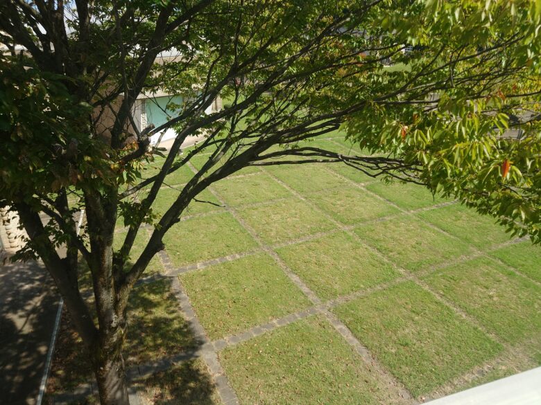 石川県七尾美術館の芝生