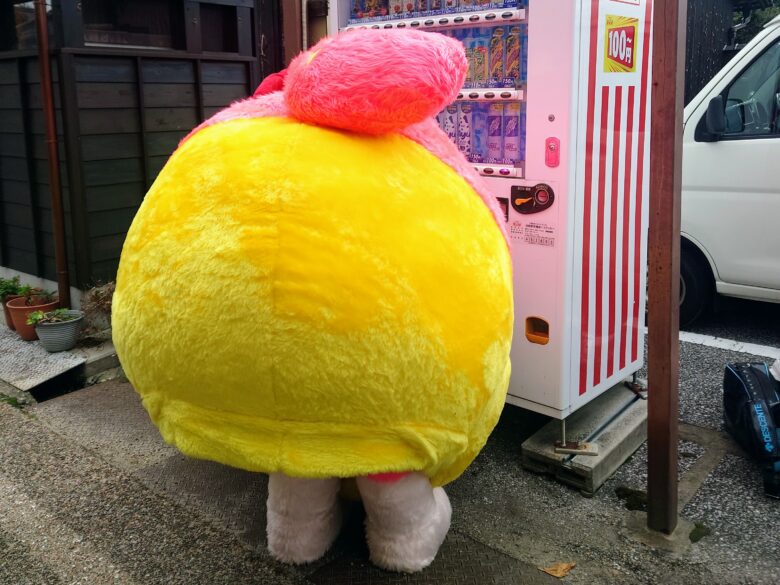 プク丸ちゃんのおしり