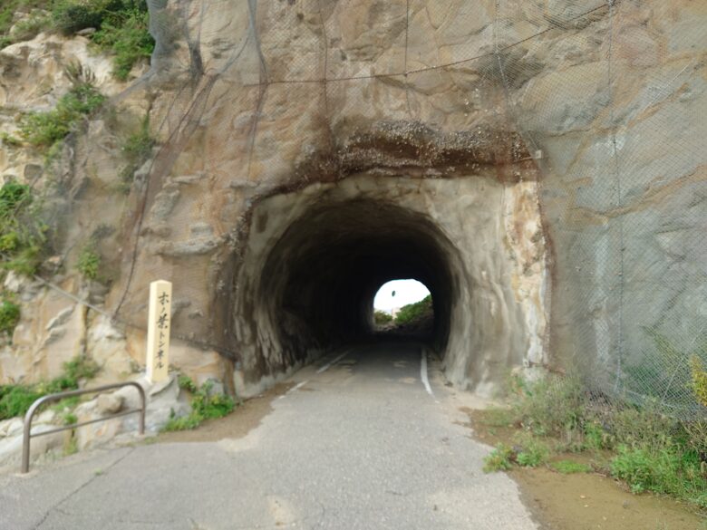令和6年能登半島地震後の木ノ葉トンネル