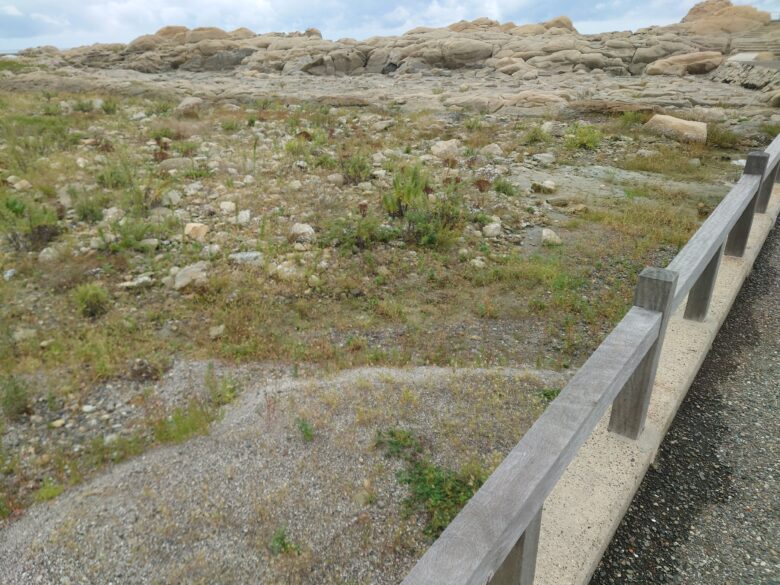 令和6年能登半島地震後の鴨ヶ浦の汐見橋付近