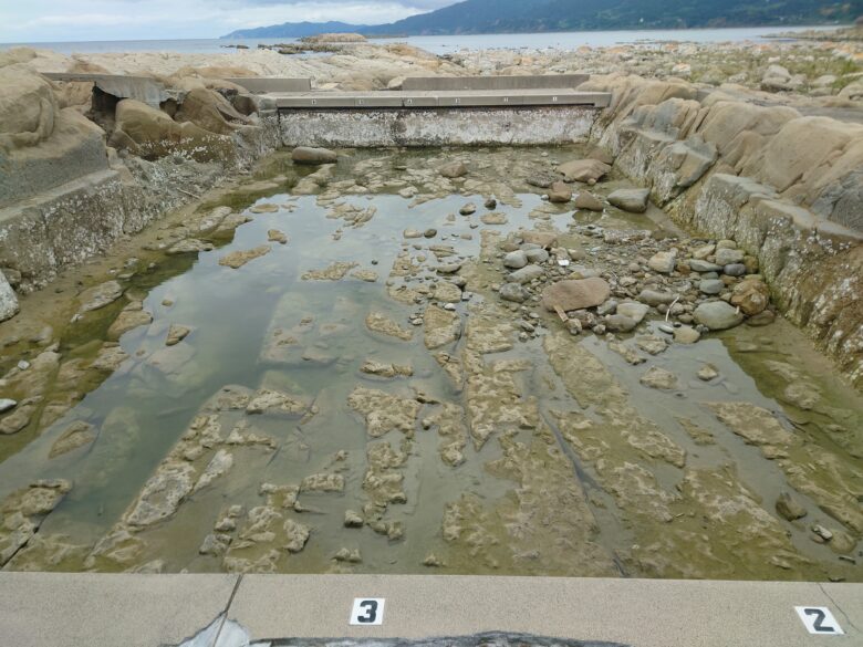 令和6年能登半島地震後の鴨ヶ浦の塩水プール