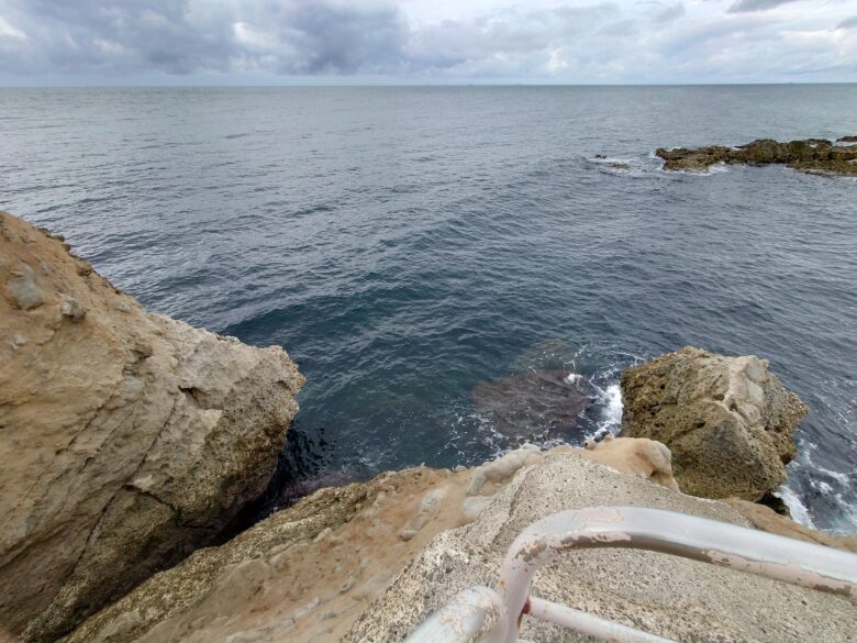 令和6年能登半島地震後の鴨ヶ浦の猫地獄から見た海