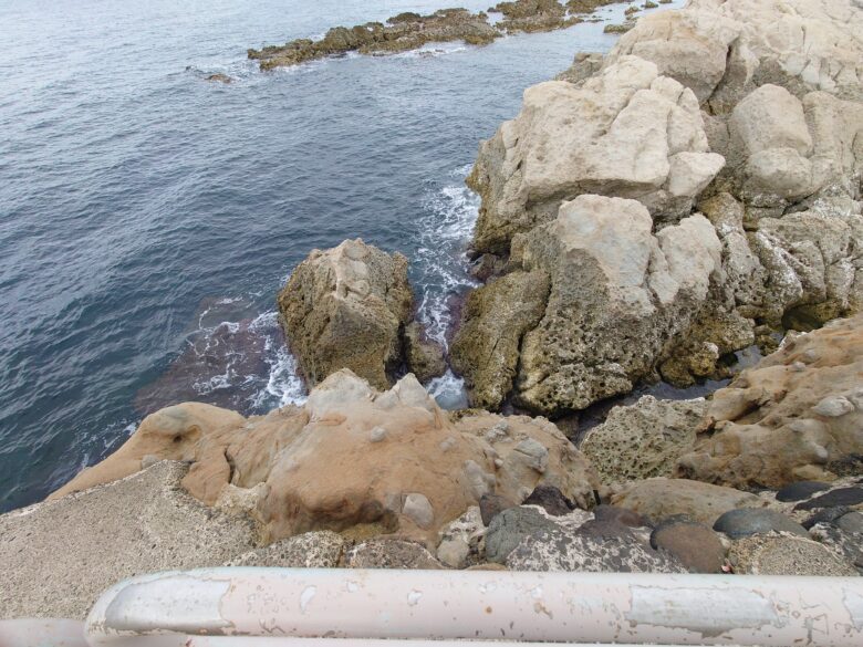 令和6年能登半島地震後の鴨ヶ浦の猫地獄から見た海