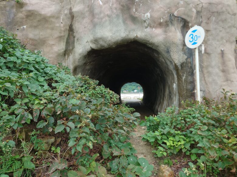 令和6年能登半島地震後の鴨ヶ浦から見た木ノ葉トンネル