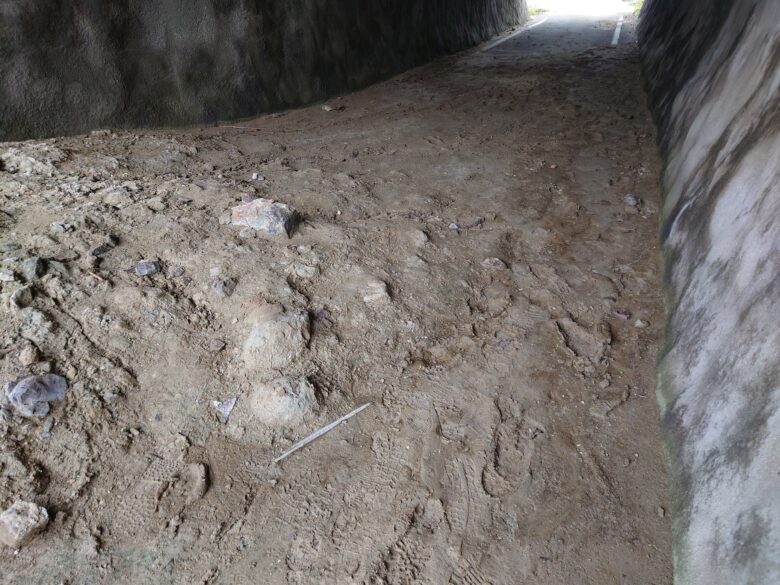 令和6年能登半島地震後の木ノ葉トンネルの中