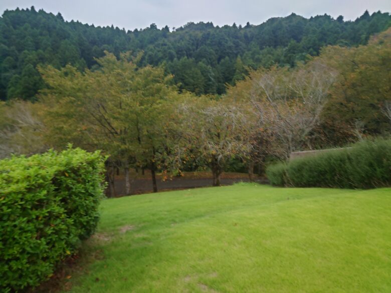 縄文真脇温泉の屋上に広がる芝生の傾斜箇所