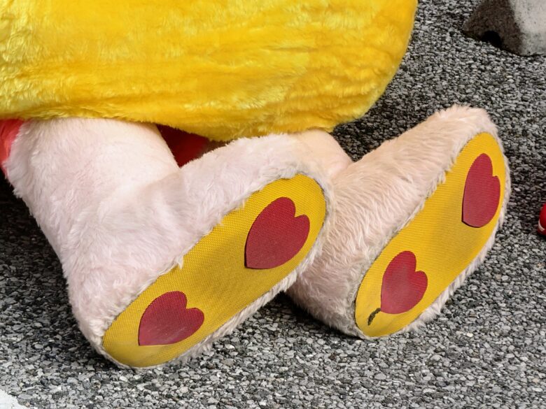 プク丸ちゃんの足の裏