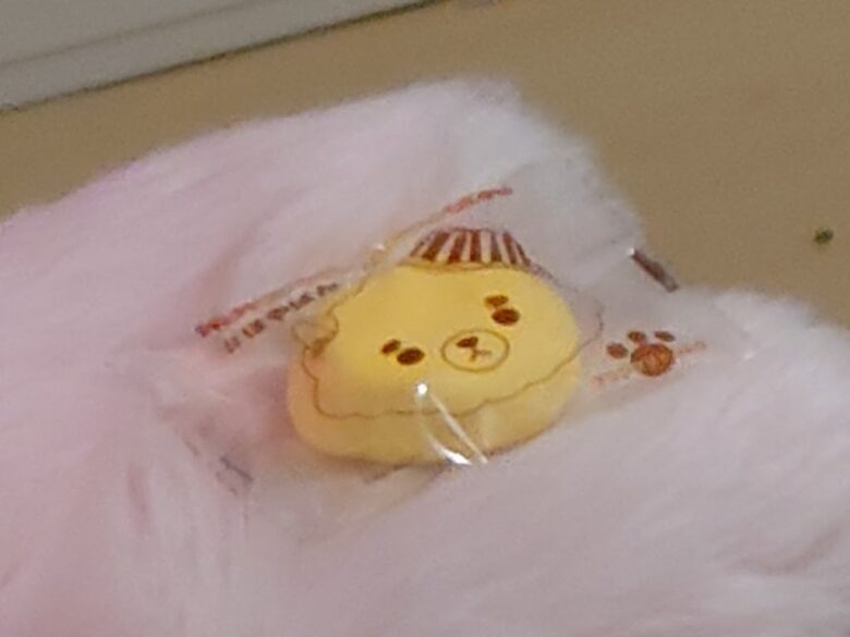 ファン手作りのほや丸のグッズを手にのせるプク丸ちゃん