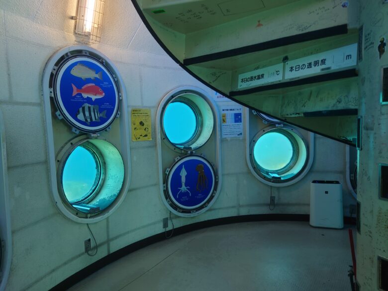 白浜海中展望塔の水中窓