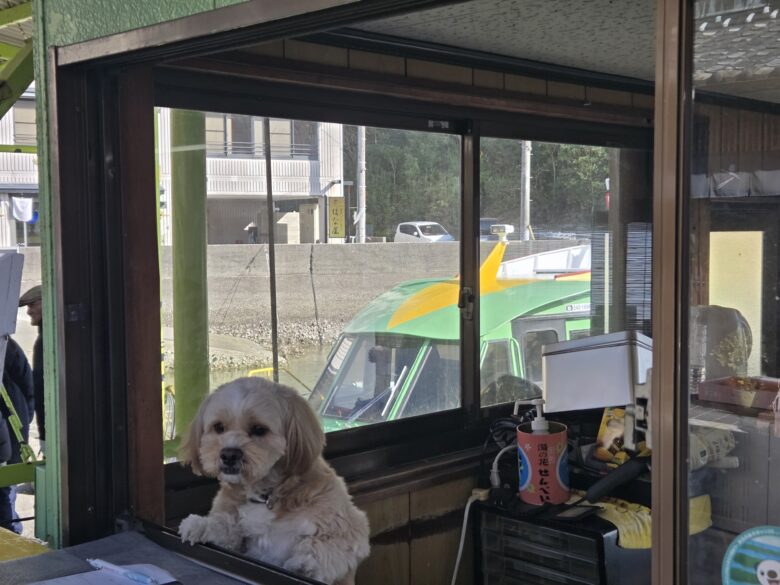 賢島遊覧船の乗船券の売り場のわんこ