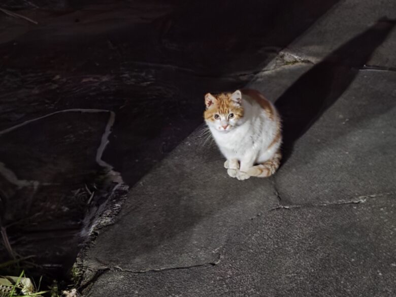 四日市コンビナートの夜景を観た帰り道