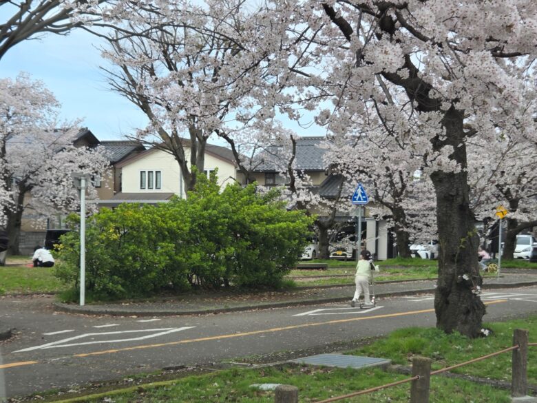 神田交通公園の道路