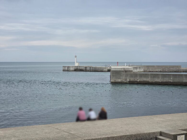 道の駅ウェーブパークなめりかわの展望台からの眺め