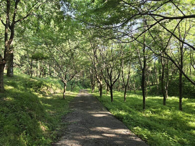 平町・千本桜の里にある散策路