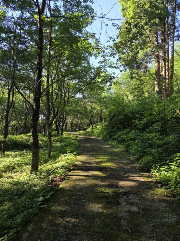 平町・千本桜の里にある散策路