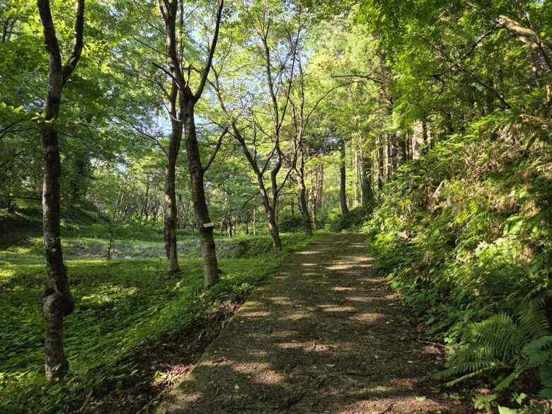平町・千本桜の里にある散策路