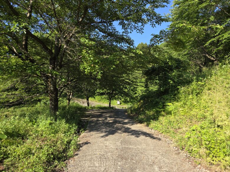 平町・千本桜の里にある散策路