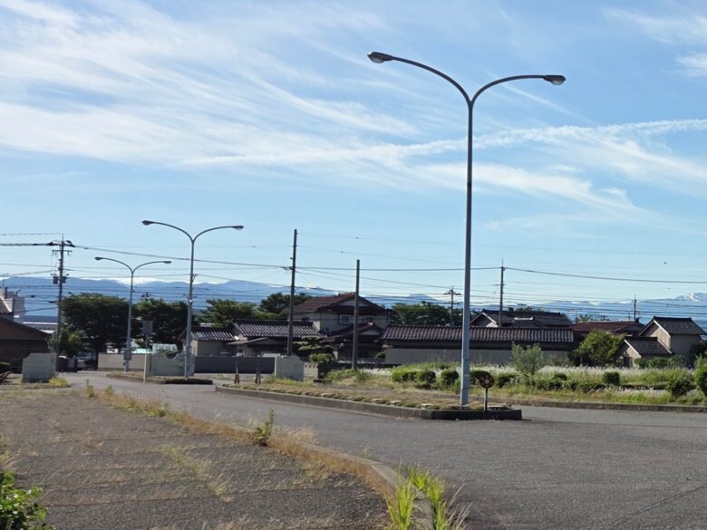 アプリコットパークの前の道路