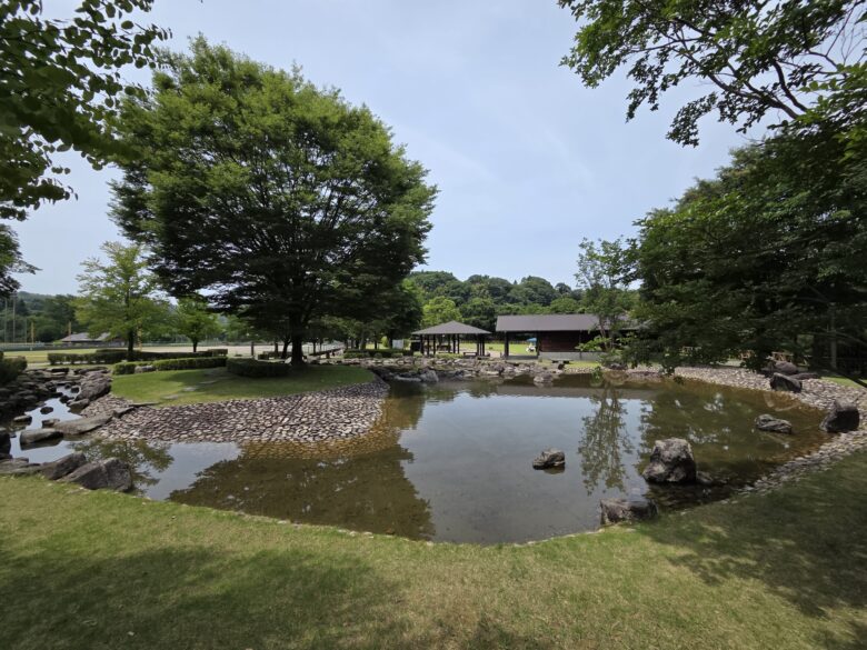 内川スポーツ広場の水辺