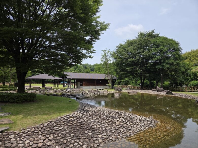 内川スポーツ広場の水辺