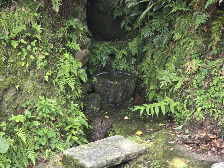 鳴和の滝の水