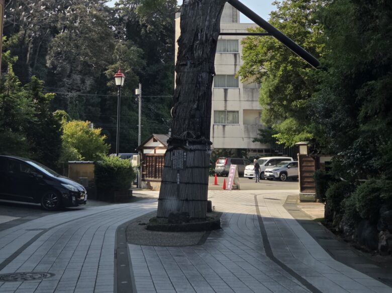 黄門杉の根本