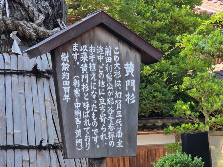 黄門杉の案内板
