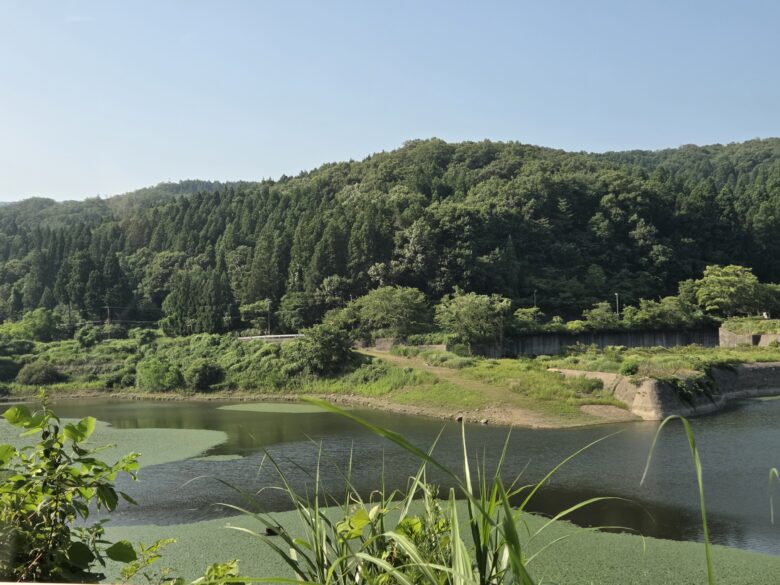 滝波ダムのたまった水