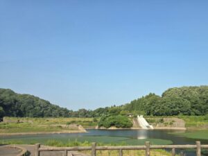 滝波ダムの溜まったいる水