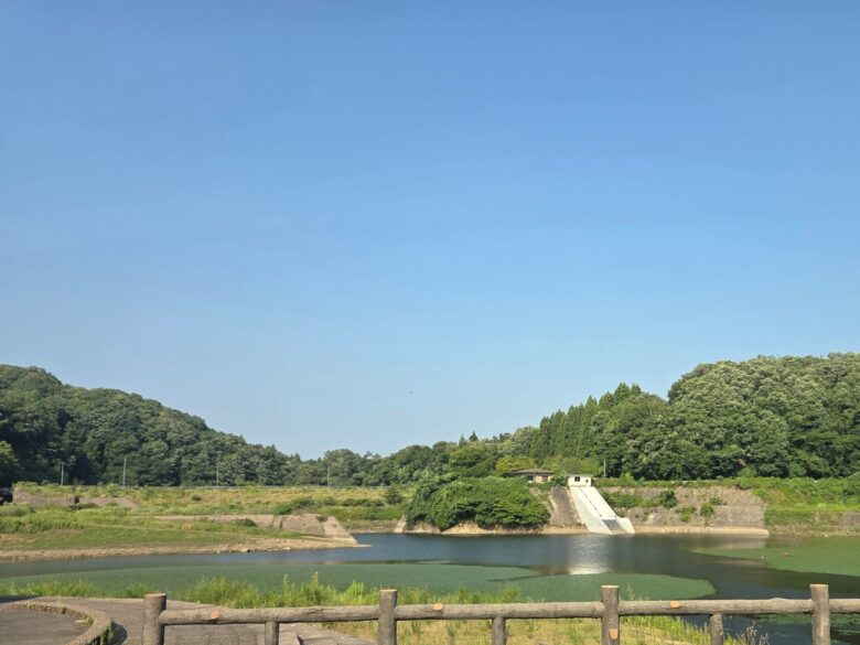 滝波ダムの溜まったいる水